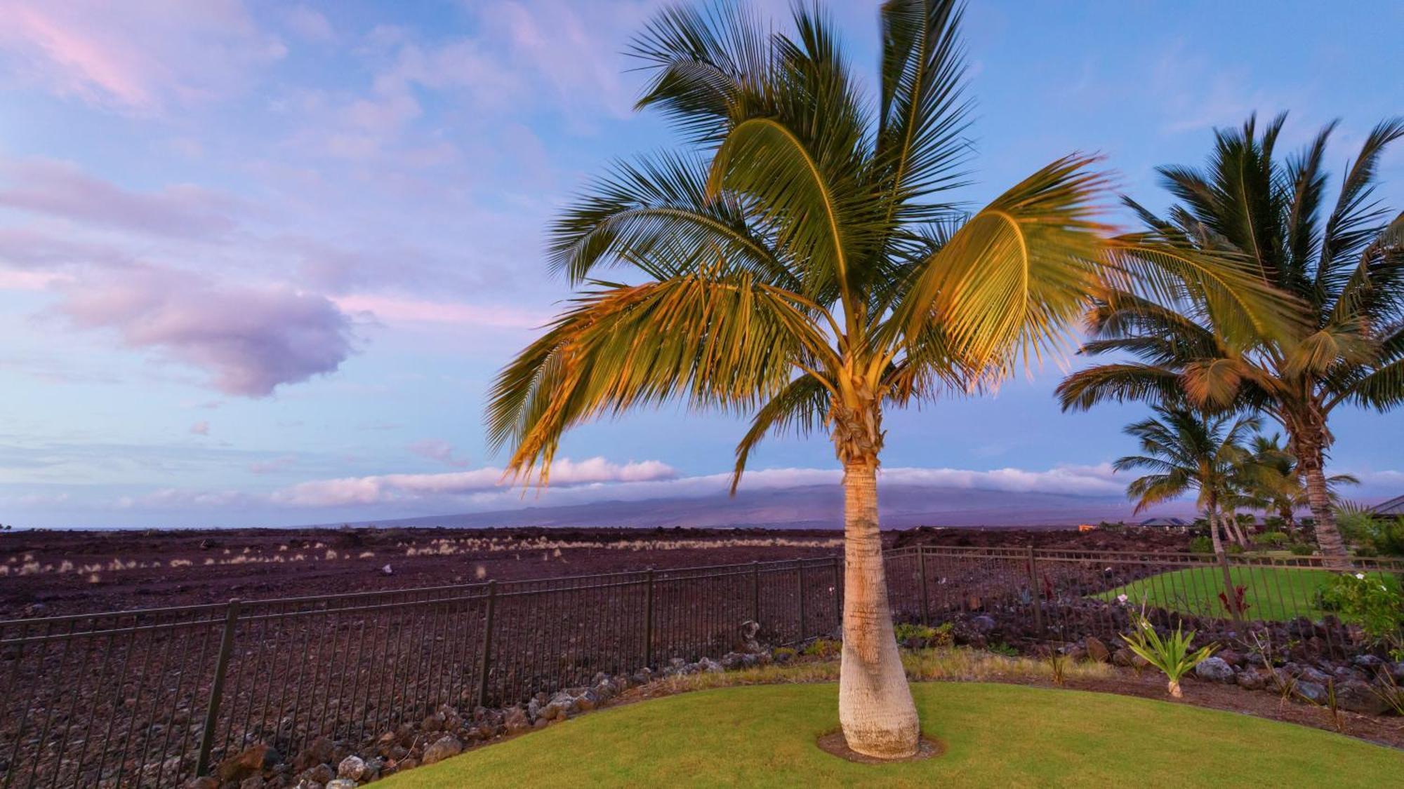 Starry Nights Dreamy 4Br Ainamalu Home With Mountain View Waikoloa Kültér fotó